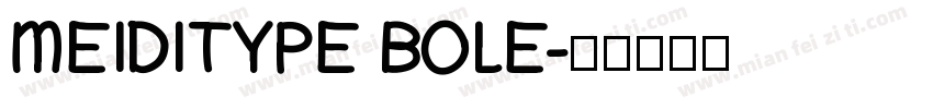 MEIDITYPE BOLE字体转换